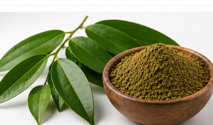 Cinnamon Leaves Extract Product Display