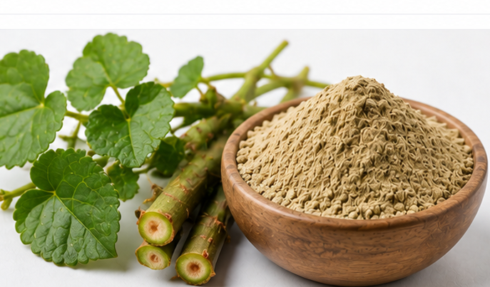 Cissus Extract Product Display