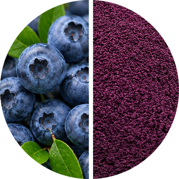 Blueberry cutout