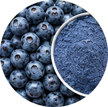 Blueberry cutout