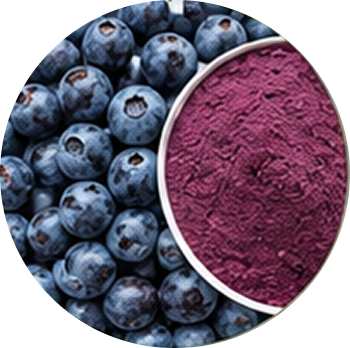 Bilberry cutout