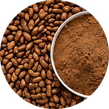Grape Seed cutout
