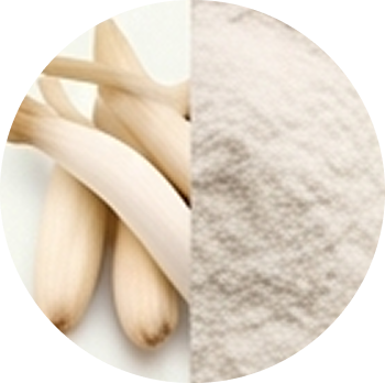 White Musli Extract cutout