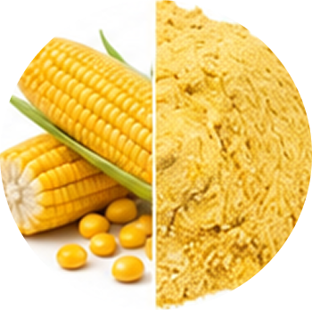 Corn cutout